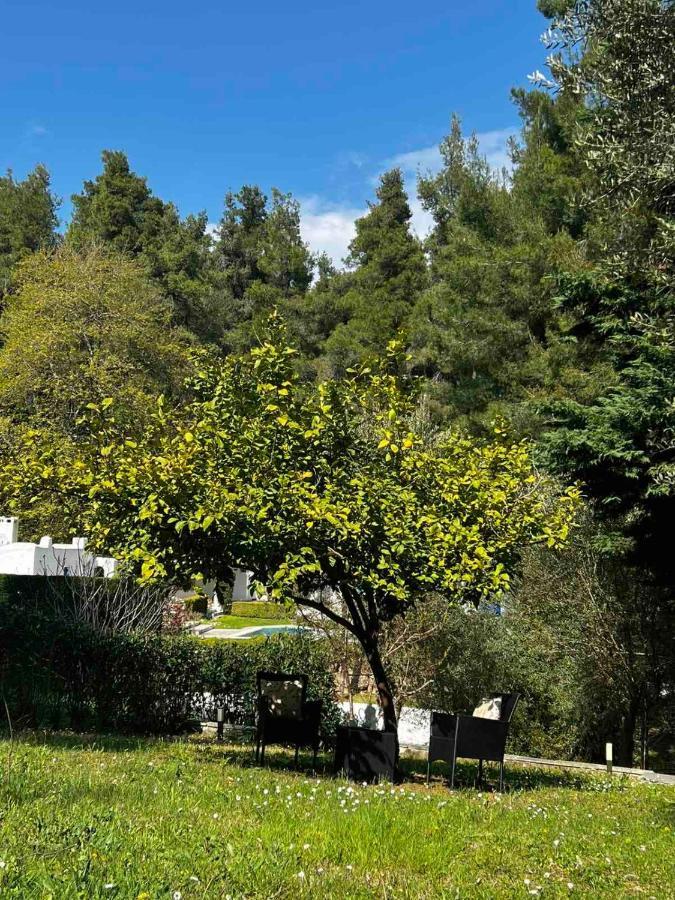 Villa Sani Garden House Exterior foto
